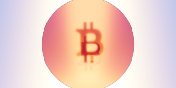 From 8K to K: Bitcoin’s sharp decline explained