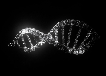 The story of GeneDx (WGS) and its 2,434.65% stock surge in 2024