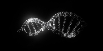 The story of GeneDx (WGS) and its 2,434.65% stock surge in 2024