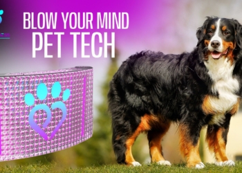 Pet Madness Inc. unveils AI-driven pet ecosystem
