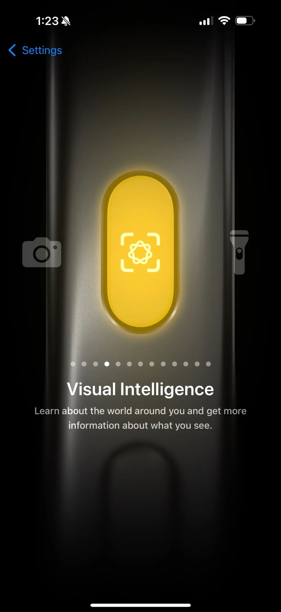 Visual Intelligence comes to iPhone 15 Pro and Pro Max