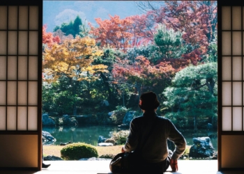 Bridging AI innovation and cultural understanding