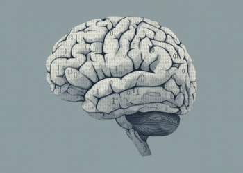 Why your brain can’t be a computer—even in theory