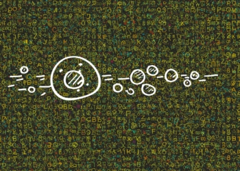 Could quantum theory help decode LLMs?