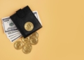 How a crypto wallet keeps digital coins safe: All you need to know How a crypto wallet keeps digital coins safe: All you need to know