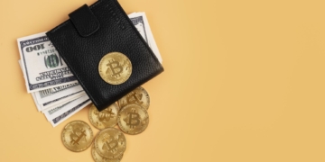 How a crypto wallet keeps digital coins safe: All you need to know