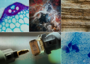 This AI lab wants to automate scientific discovery