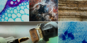 This AI lab wants to automate scientific discovery