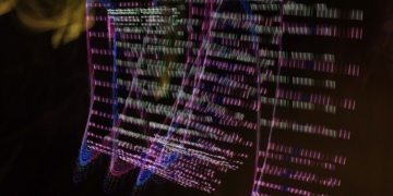 Google releases VaultGemma 1B with differential privacy