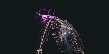 Neuralink to trial brain implant for text translation