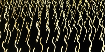 Cross-Chain is the new competitive edge: Building secure, interoperable systems in the Web3 era