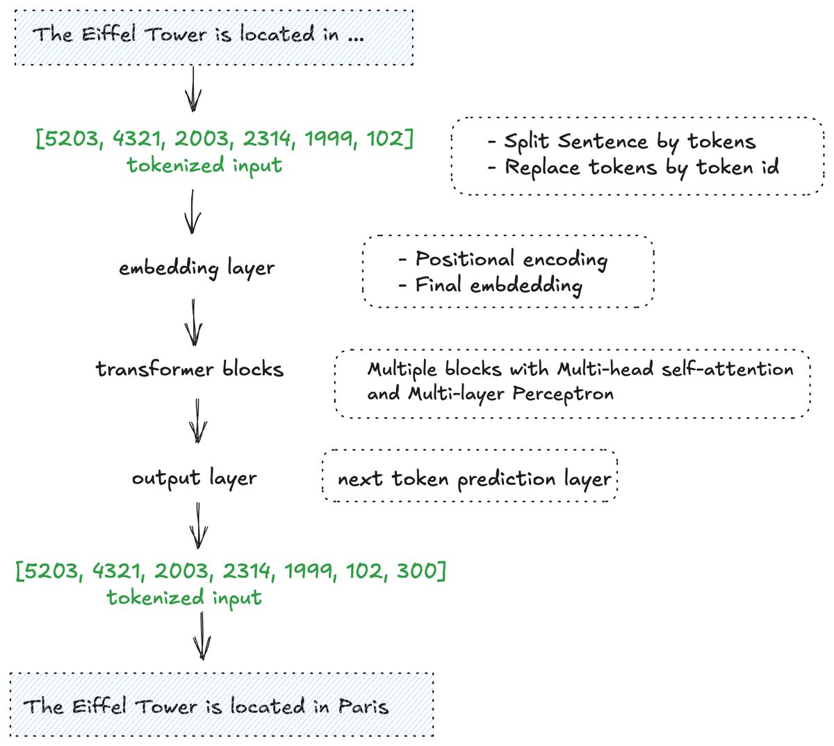 Demystifying LLMs: How modern AI transforms language into knowledge