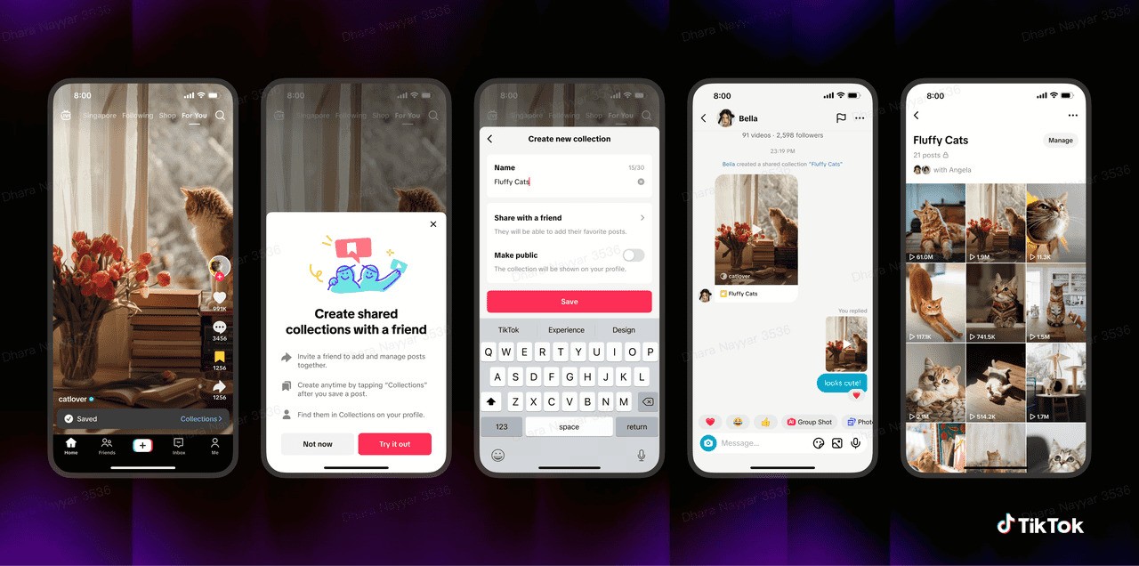 TikTok propose désormais des flux et des collections partagés