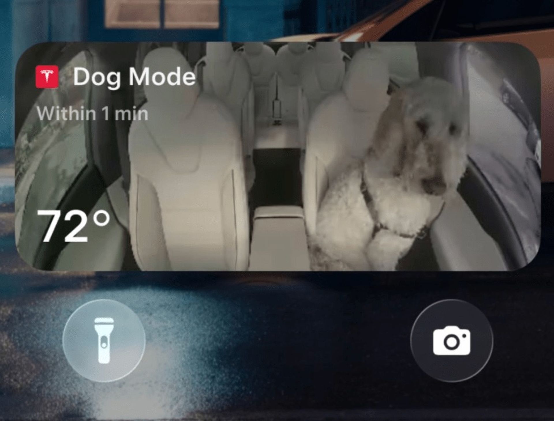 Tesla 2025 Holiday Update