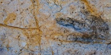 AI app DinoTracker identifies dinosaur footprints with 90% accuracy
