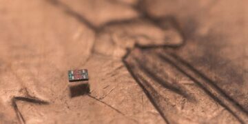 Scientists build autonomous robots smaller than a grain of salt
