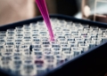 Beyond scaling thesis in biology: Why instrumentation, not compute, sets the ceiling for AI driven biomedicine