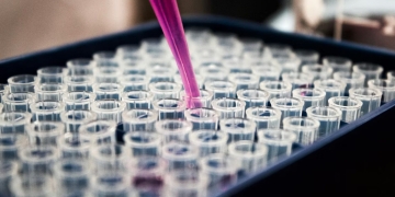 Beyond scaling thesis in biology: Why instrumentation, not compute, sets the ceiling for AI driven biomedicine