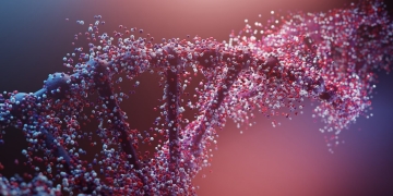 Scientists create first organism with fewer than 20 amino acids with AI