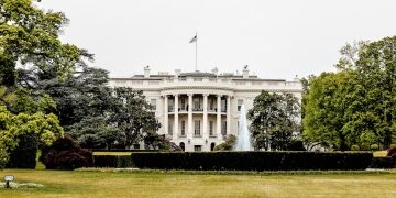 White House explores oversight rules for new AI models
