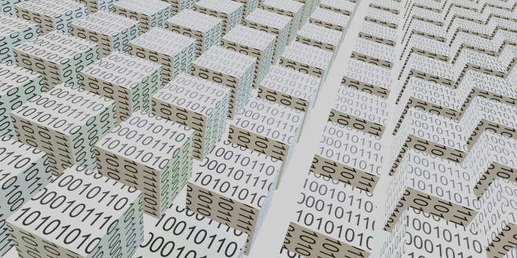 Should you still learn to code?