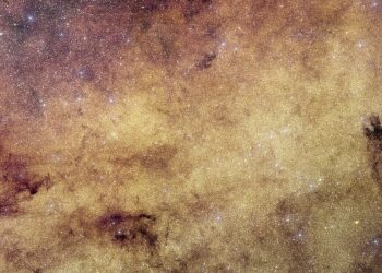 Euclid data could reveal isolated Milky Way black holes