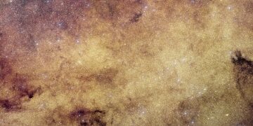 Euclid data could reveal isolated Milky Way black holes