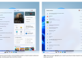 Windows 11 Search Box gets less clutter and more control