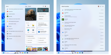 Windows 11 Search Box gets less clutter and more control