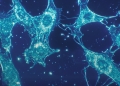 Penn Medicine unveils AI-human system to speed CAR T cancer target discovery Penn Medicine unveils AI-human system to speed CAR T cancer target discovery