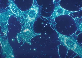 Penn Medicine unveils AI-human system to speed CAR T cancer target discovery